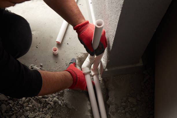 Best Plumbing Inspection Services  in Blue Grass, IA