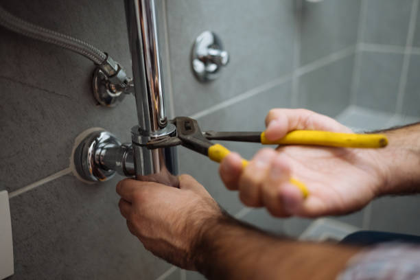 Best Shower Repair Services  in Blue Grass, IA