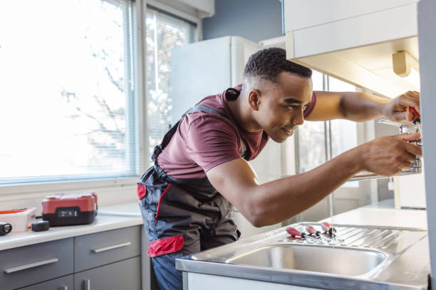 Best Local Plumber Services  in Blue Grass, IA